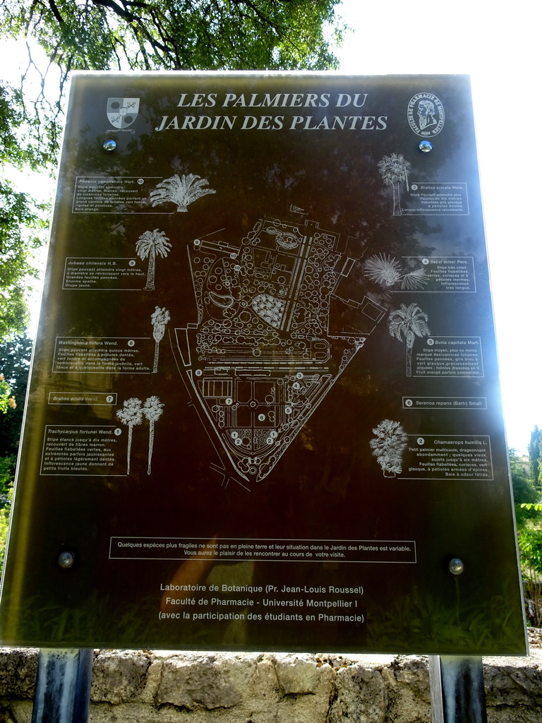 Map of the palm trees at the Jardin des Plantes gardens