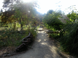 The l`École Systématique area of the Jardin des Plantes gardens