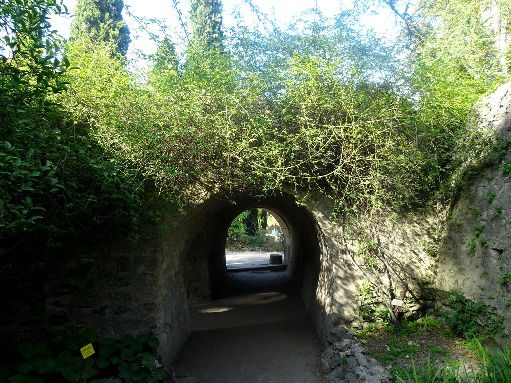 Tunnel at the east side of the Jardin des Plantes gardens