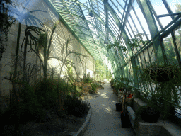 Interior of the Martens Greenhouse at the north side of the Jardin des Plantes gardens