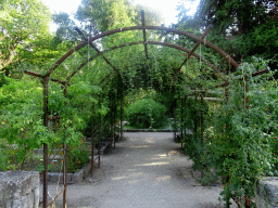 Pergola at the north side of the Jardin des Plantes gardens