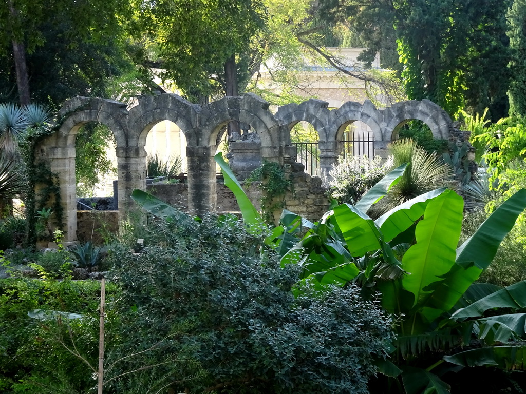 Ruins at the Jardin des Plantes gardens, viewed from the Boulevard Henri IV