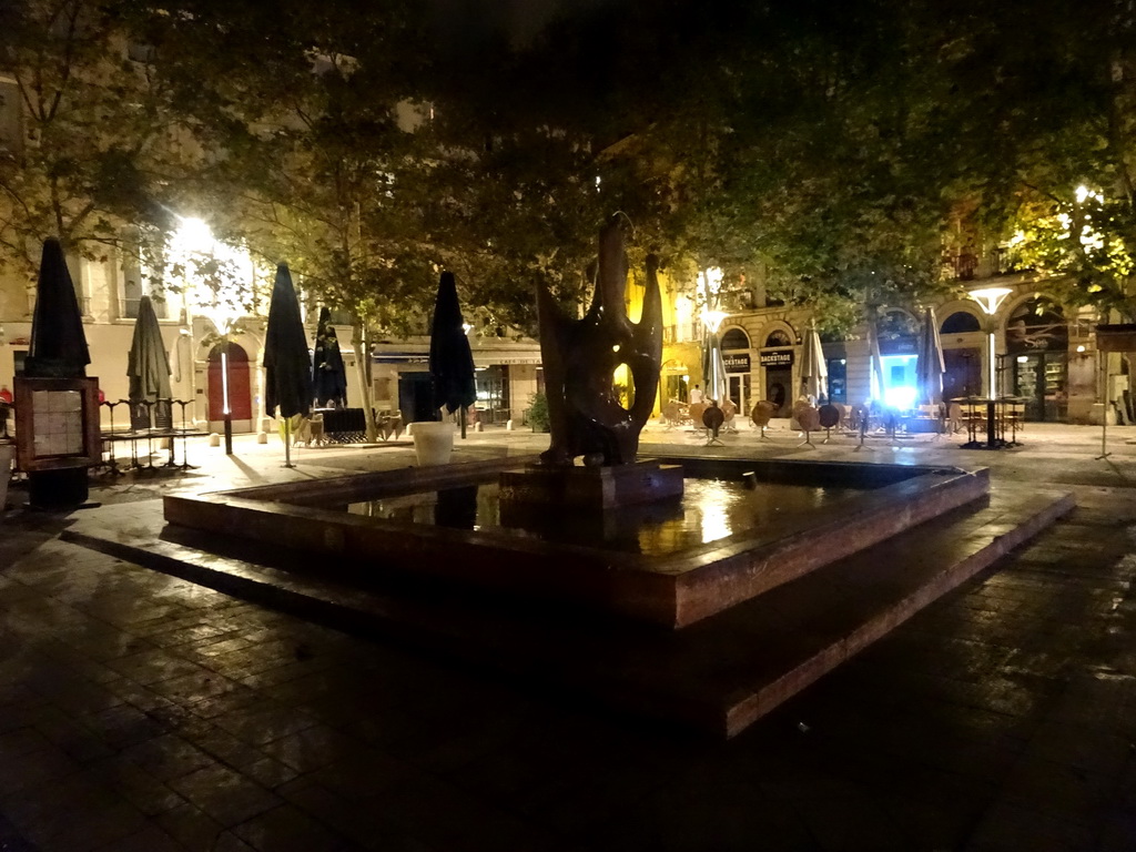 Fountain at the Place du Marché aux Fleurs square, by night