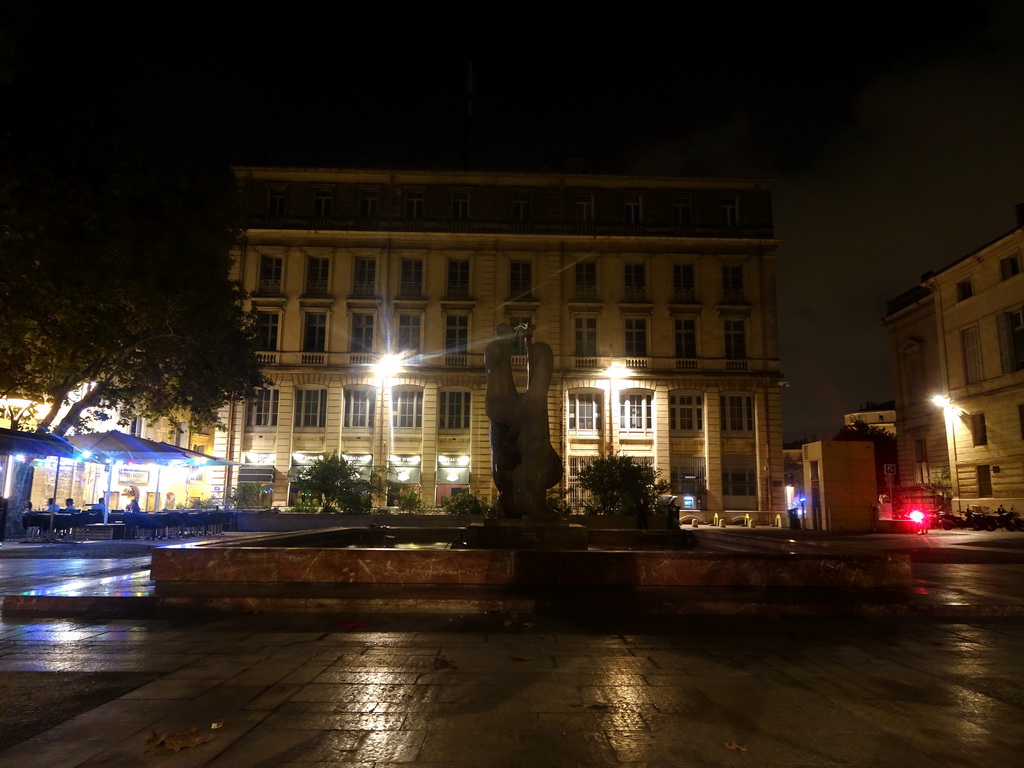 Fountain at the Place du Marché aux Fleurs square, by night