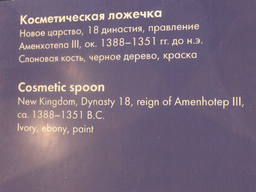Explanation on the Egyptian cosmetic spoon in the form of a floating girl, at Room 1: The Art of Ancient Egypt at the Ground Floor of the Pushkin Museum of Fine Arts