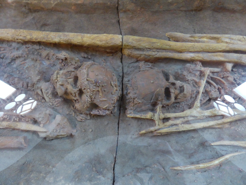 Skulls and bones in a tomb at Room 3: Late Stone Age, at the First Floor of the State Historical Museum of Russia