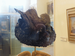 Hat made of a bird at Room 37: Russia in the Epoch of Reforms, 18601880s, at the Second Floor of the State Historical Museum of Russia