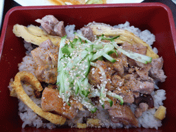 Lunch at a sushi bar at the Okhotny Ryad Food Court at Manege Square