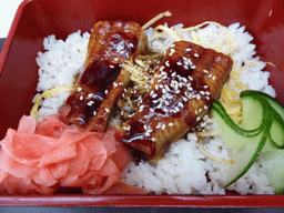 Lunch at a sushi bar at the Okhotny Ryad Food Court at Manege Square