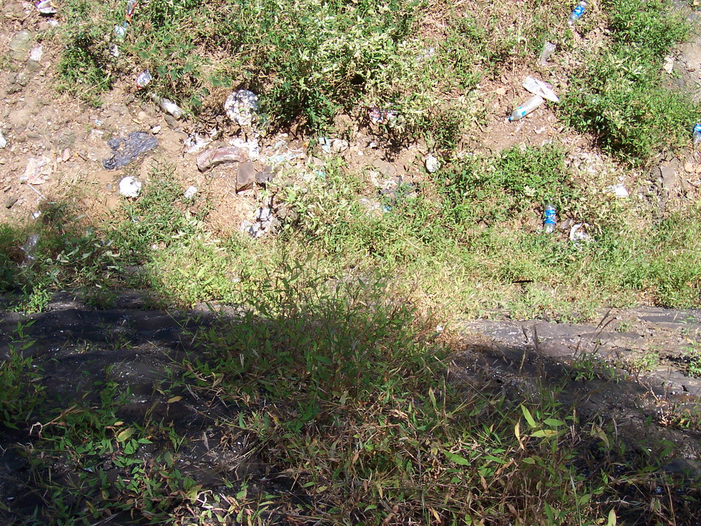 Garbage at Elephanta Island