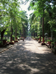 The central road of Victoria Gardens