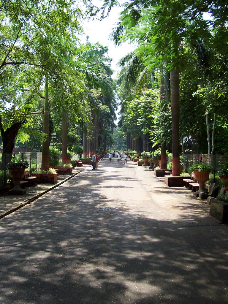 The central road of Victoria Gardens