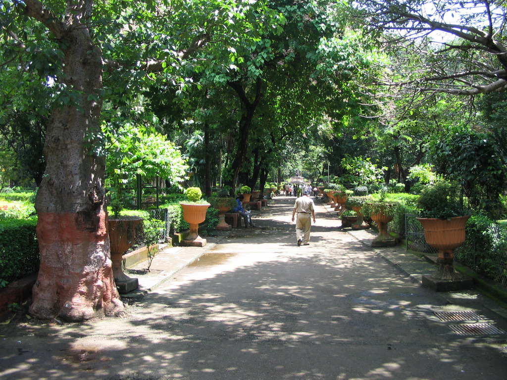 The central road of Victoria Gardens