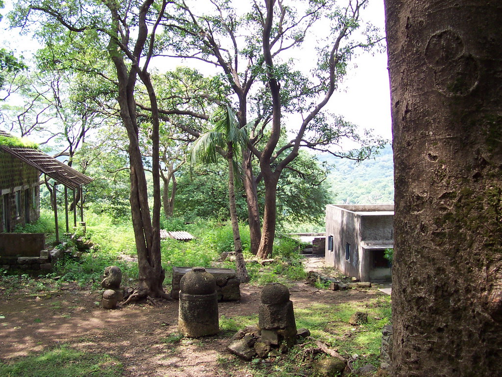 Trees near the entrance to the Kanheri Caves