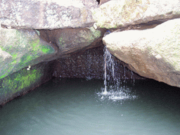 Waterfall near the Kanheri Caves