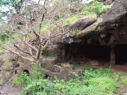 Kanheri Cave