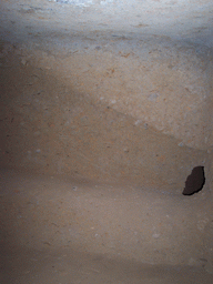 Inside a Kanheri Cave