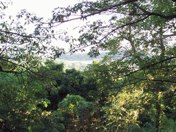 View from a hill near Film City