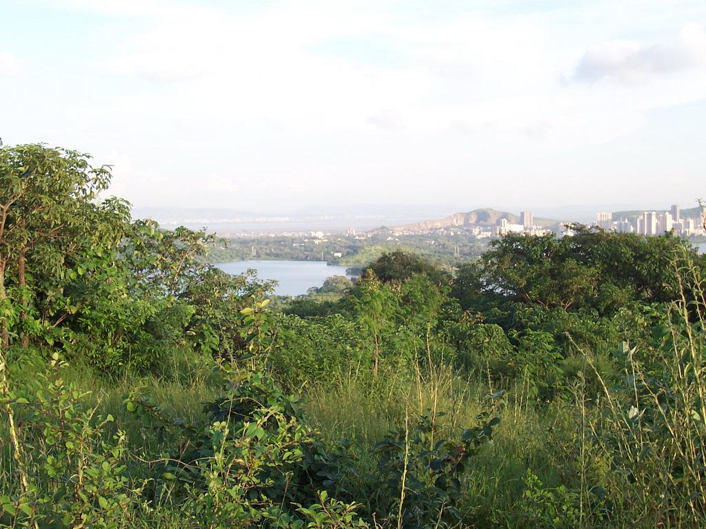 View on Mumbai from a hill near Film City