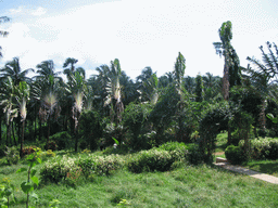 The Botanical Garden