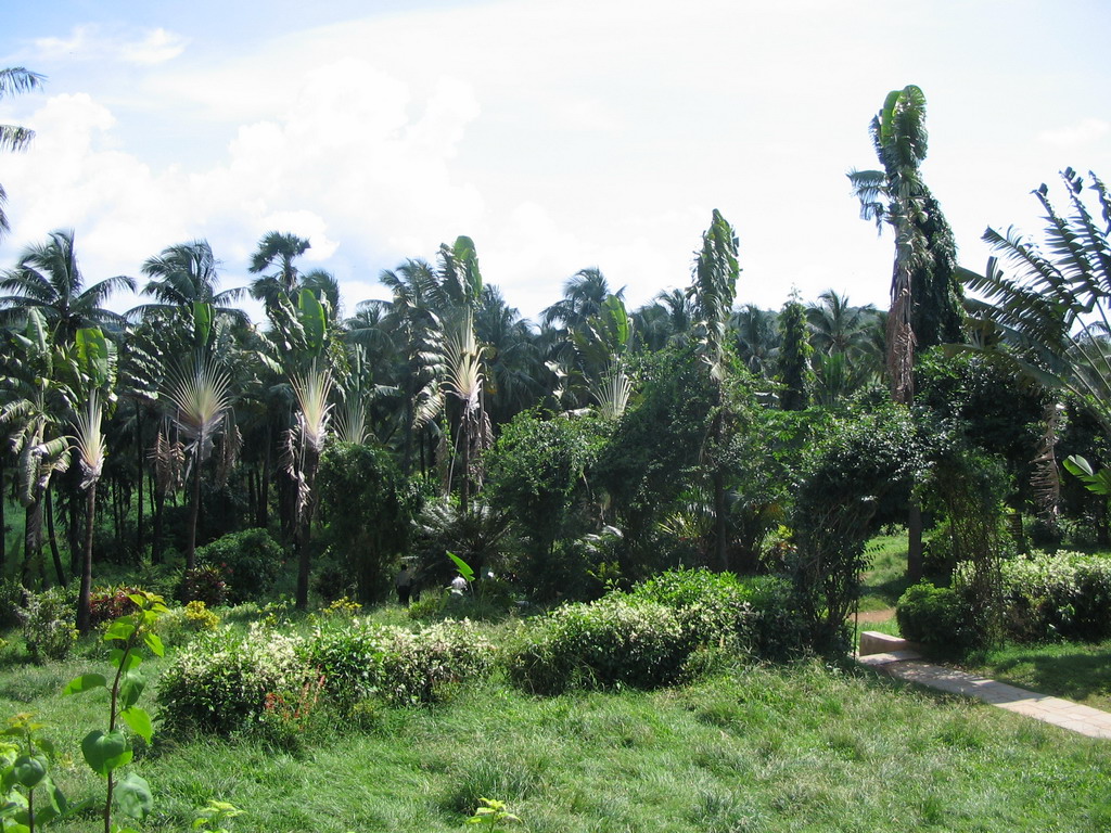 The Botanical Garden