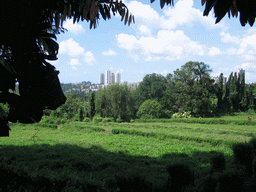 View on the city from the Botanical Garden