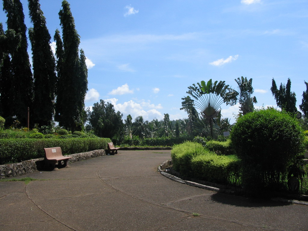 The Botanical Garden