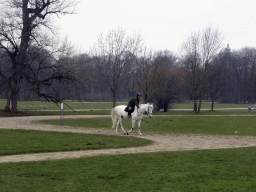 Horse with rider at the west side of the Englischer Garten garden