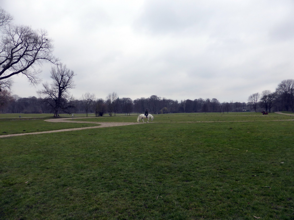 Horse with rider at the west side of the Englischer Garten garden