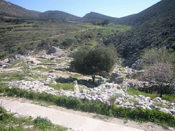 Ruins of the Acropolis of Mycenae