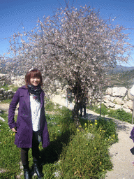 Miaomiao with flower tree