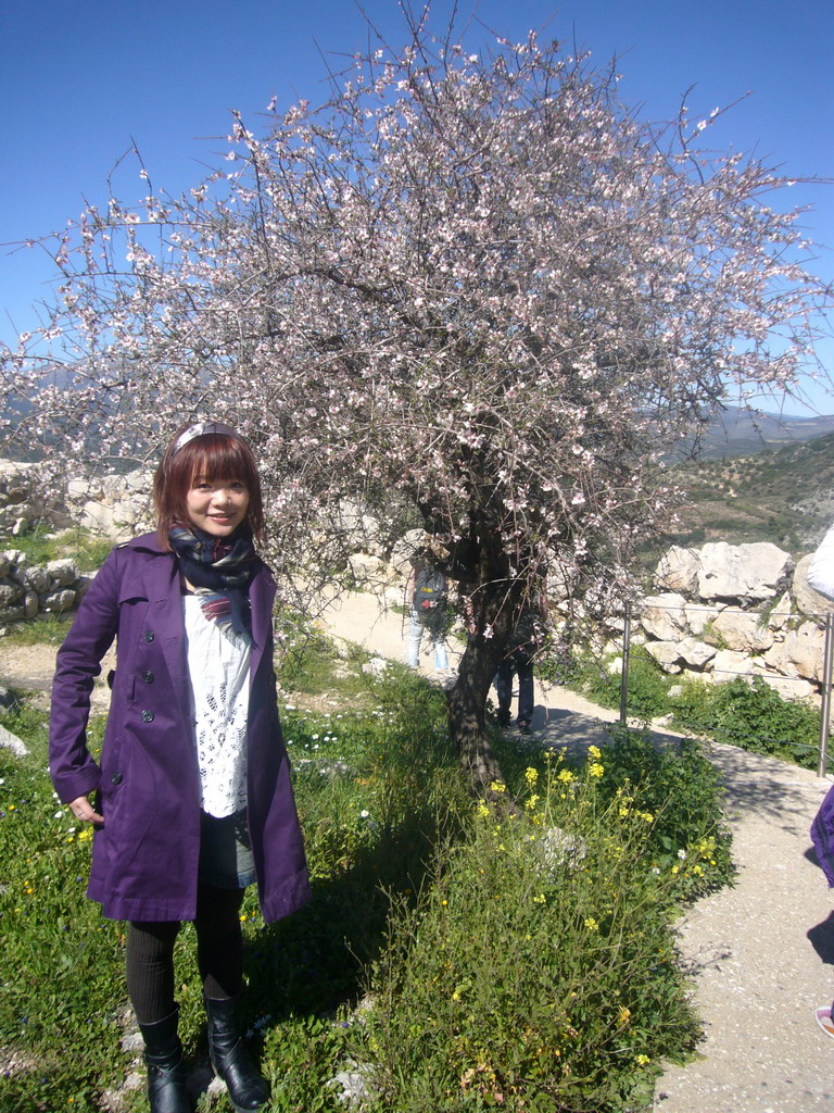 Miaomiao with flower tree