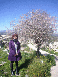 Miaomiao with flower tree
