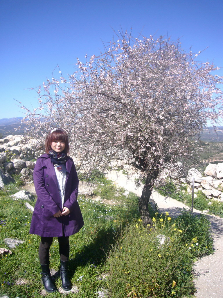 Miaomiao with flower tree