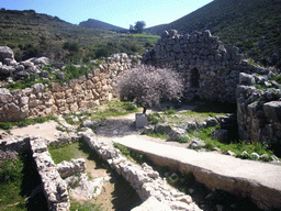 The Northeast Extension of the Acropolis of Mycenae