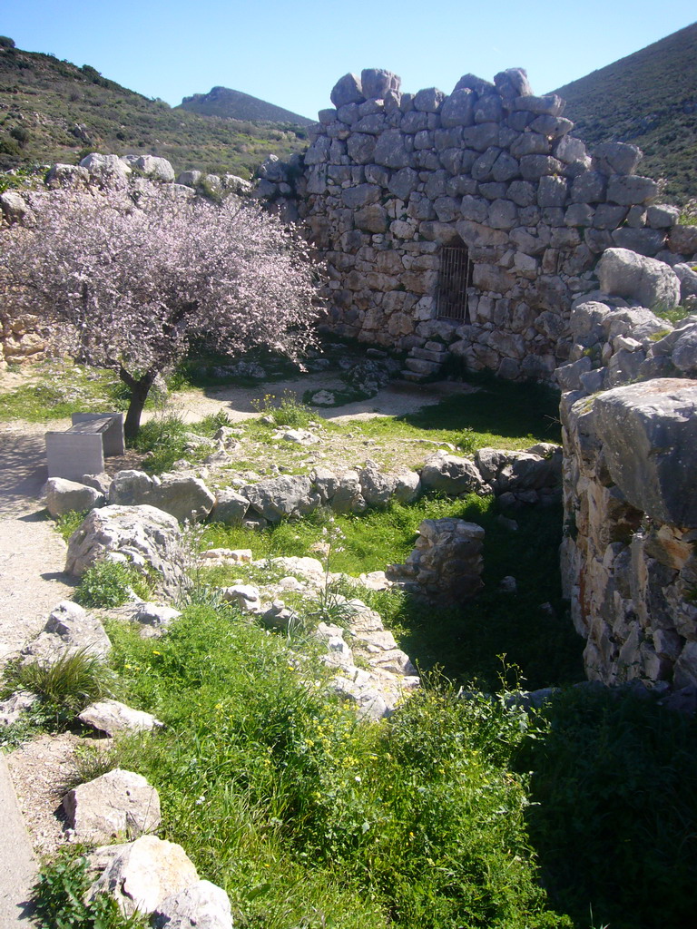 The Northeast Extension of the Acropolis of Mycenae