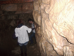 Miaomiao in the Underground Cistern