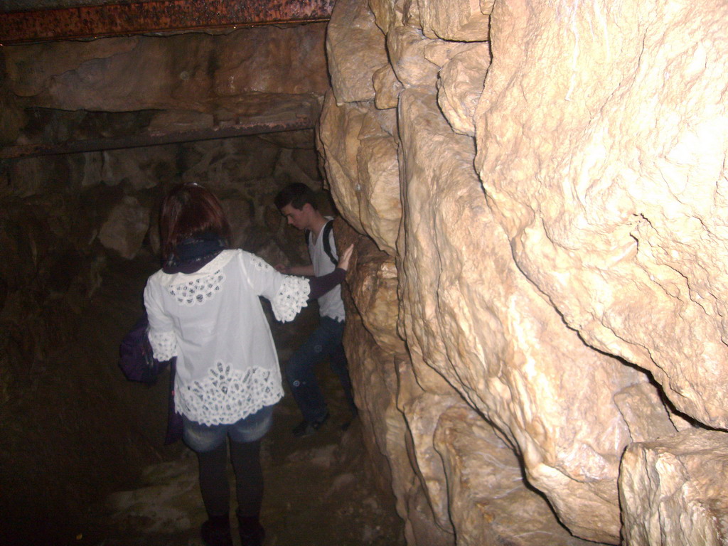 Miaomiao in the Underground Cistern