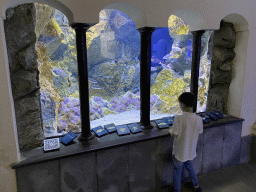 Max looking at fishes at the Acquario di Napoli aquarium