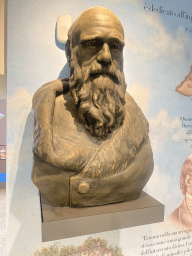 Bust of Charles Darwin at the Museo Darwin Dohrn museum
