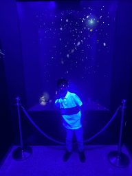 Max in a dark room at the Museo Darwin Dohrn museum