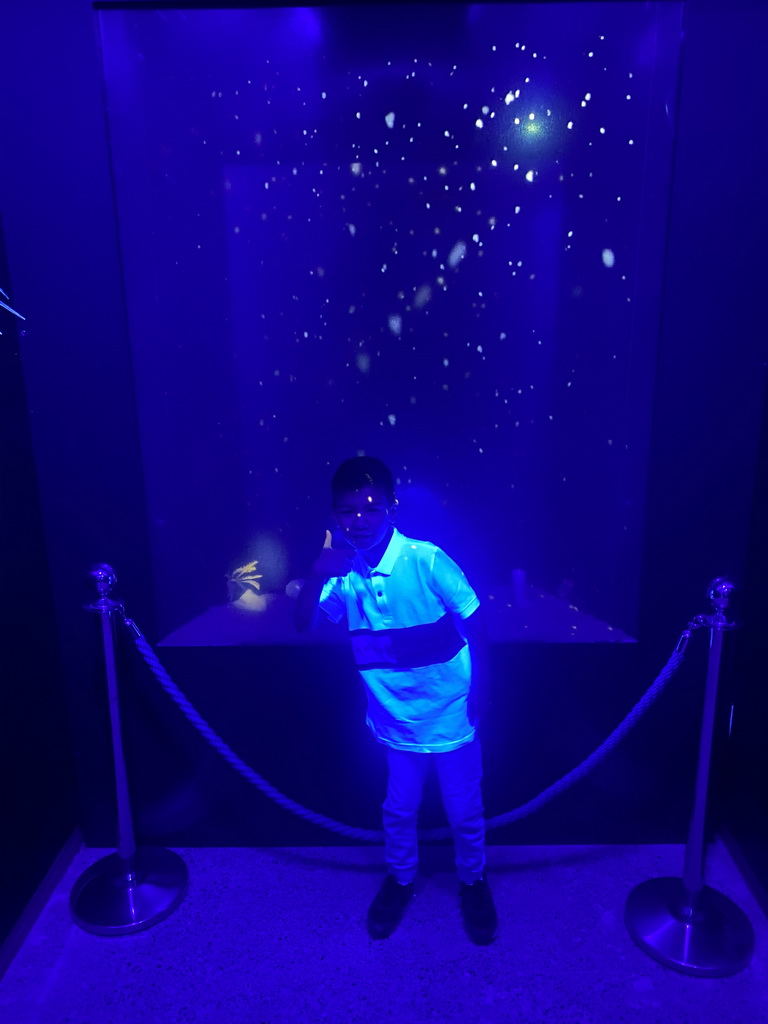 Max in a dark room at the Museo Darwin Dohrn museum