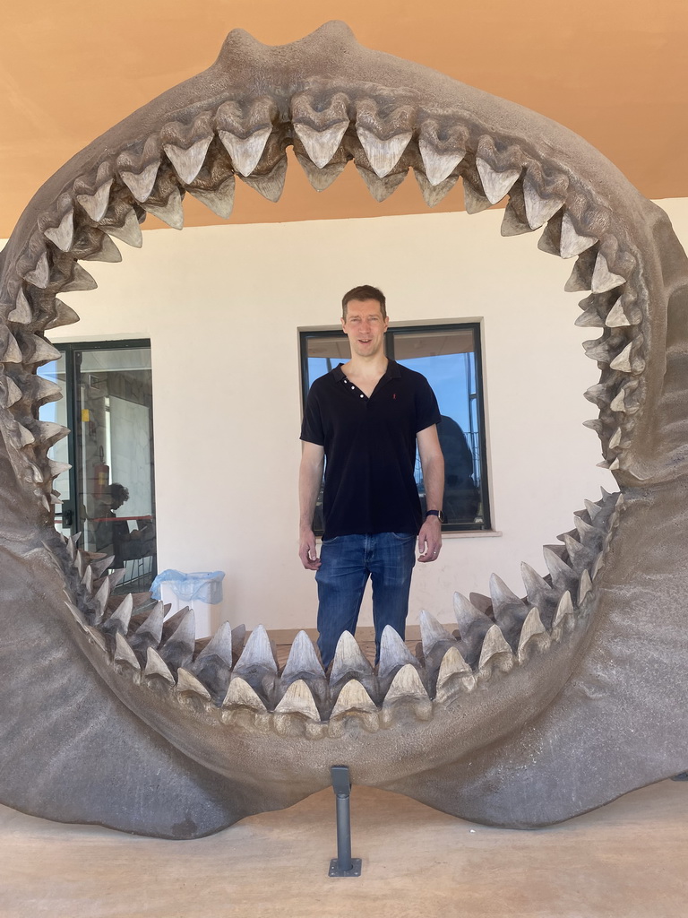 Tim with a shark skull in the garden of the Museo Darwin Dohrn museum