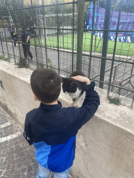 Max with a cat at the Via Arpino street