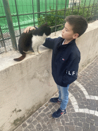 Max with a cat at the Via Arpino street