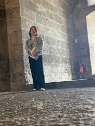 Miaomiao at the Armoury Hall at the Castel Nuovo castle