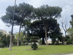 The Gardens of the Royal Palace of Naples