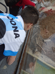 Max with Japanese Macaques at the Zoo di Napoli