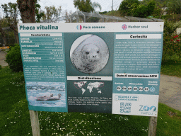 Information on the Harbor Seal at the Zoo di Napoli