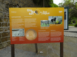 Information on gladiator fights with animals at the Zoo di Napoli